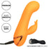 CALEXOTICS - MONTECITO MUSE VIBRATOR RABBIT ORANGE VON CALIFORNIA DREAMING