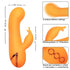 CALEXOTICS - MONTECITO MUSE VIBRATOR RABBIT ORANGE VON CALIFORNIA DREAMING